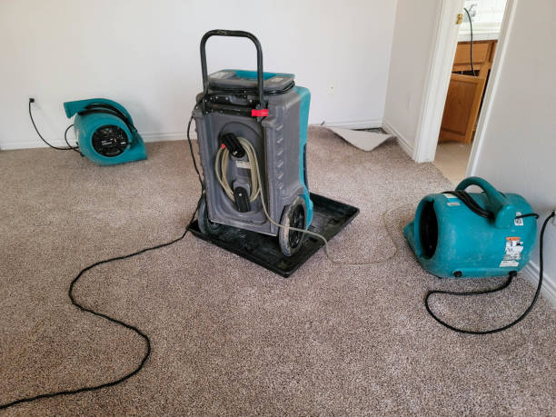 Best Basement water damage restoration  in Dickinson, ND