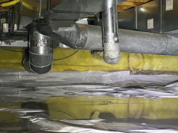 Best Mold removal after water damage  in Dickinson, ND